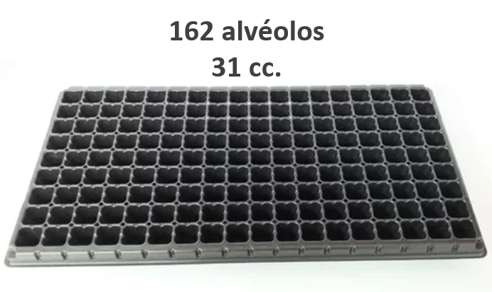 Plastico162